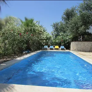 book here